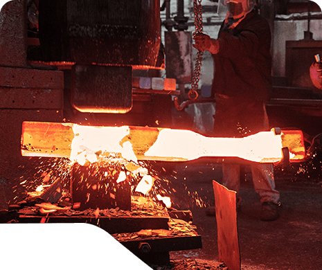 Polyvalence de forge